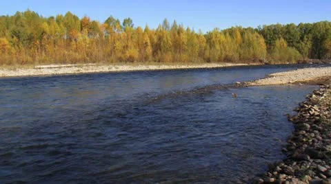 Northern river in fall colors. Stock Footage 8946788