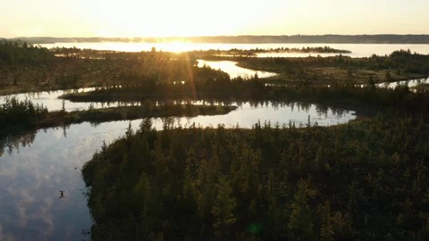 Northern river at sunrise Stock Footage