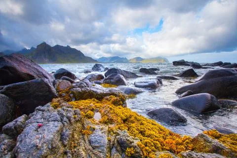 Northern summer Foto stock