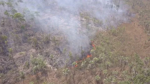 Northern Territory Wildfires 4, Australia Stock Footage 130771453