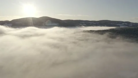 Northern winter forrest 動画素材 169015120