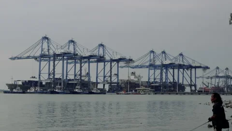 Northport Loading Ship Timelapss Stock Footage 204851686