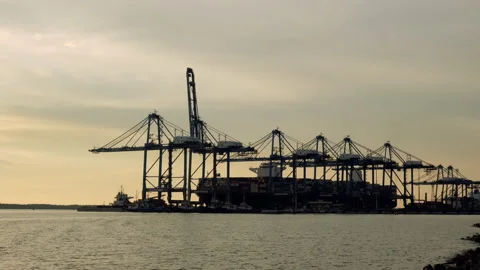 Northport loading zoom in Stock-Footage 204853681