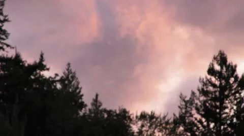Northwest nature Stock-Footage 8963986