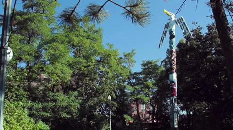 Northwest Totem Stock Footage 1073830
