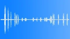 Northwestern Crow MCMD Calls Sound Effect