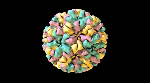 Norwalk virus, animation 스톡 동영상 64822544
