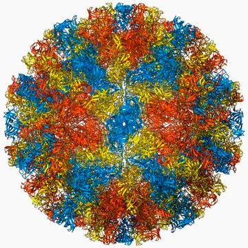 Norwalk virus capsid, molecular model Stock Illustration