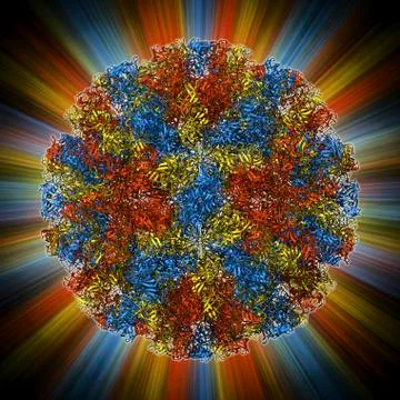 Norwalk virus capsid, molecular model Stock Illustration