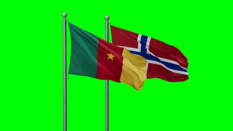 Norway and Cameroon two flags Stock Footage 292796980