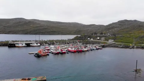 NORWAY - AUGUST 15, 2018: View from the heights of the fjord Video stock 305928707