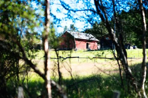Norway barn through the trees background Stock Photos