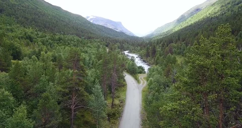 Norway - dense forest (drone) Stock-Footage 106133281
