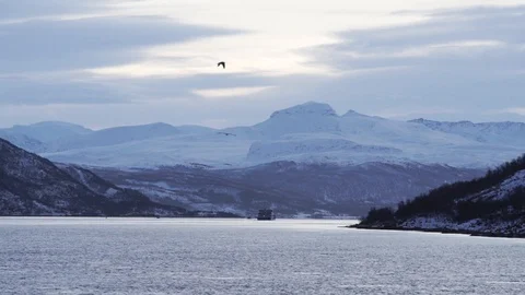 Norway fjords Stock Footage 89504783