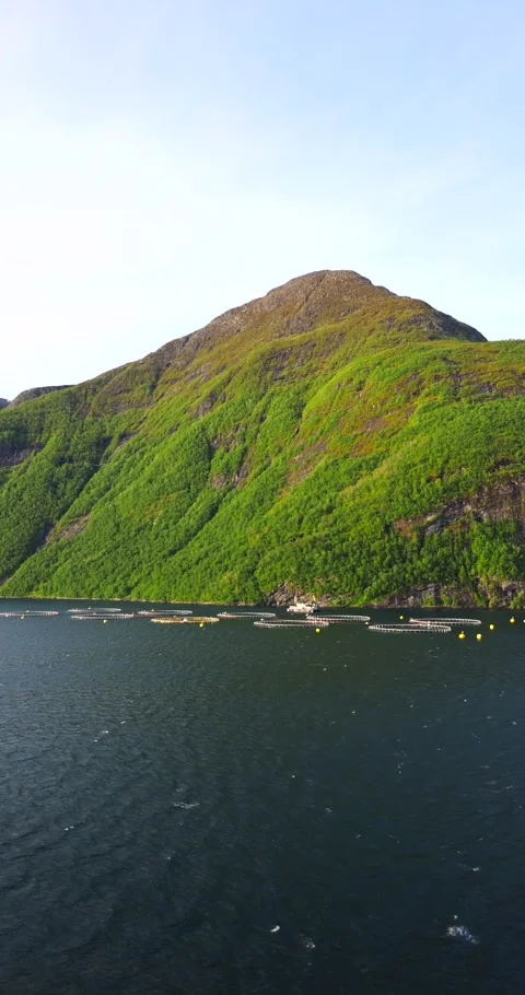 Norway Fjords Video stock 312315272