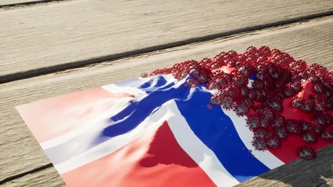 Norway Flag - Virus Growth Video stock 320293622