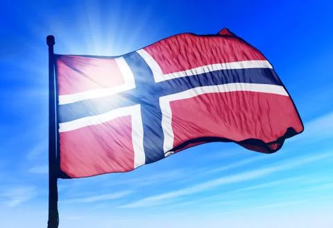 Norway flag waving on the wind 스톡 일러스트