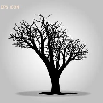 Norway maple architectonics. The structure of the tree branches and trunk. Ve 스톡 일러스트