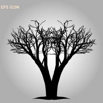 Norway maple architectonics. The structure of the tree branches and trunk. Ve 스톡 일러스트