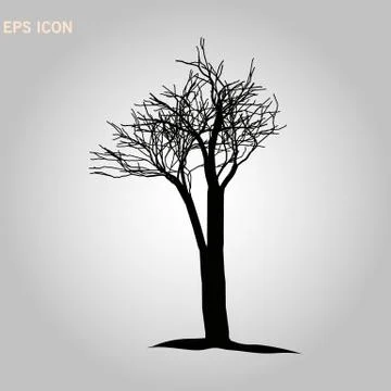 Norway maple architectonics. The structure of the tree branches and trunk. Ve Stock Illustration