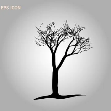 Norway maple architectonics. The structure of the tree branches and trunk. Ve Stock Illustration