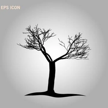 Norway maple architectonics. The structure of the tree branches and trunk. Ve Stock Illustration