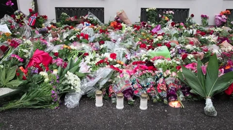 Norway mourning 4 HD Stock Footage 7902729