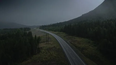 Norway Road and Trees during Storm Stock Footage 255754012