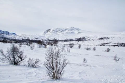 Norway in winter Stock Photos