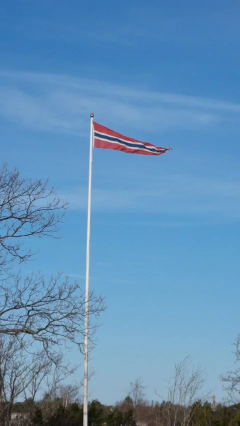 Norwegian flag in high winds Vertical Stock Footage 232676499