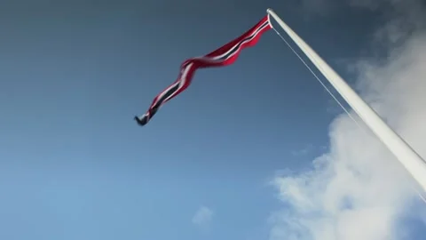 The Norwegian flag on a white flagpole Stock Footage 146133401