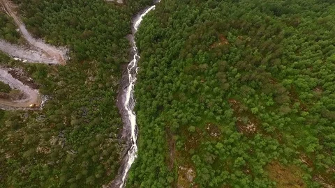 Norwegian Forest . Mountain river. Stock Footage 69759335