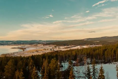 Norwegian forest winter Stock Photos