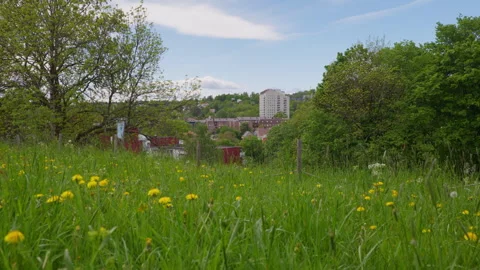 Norwegian Hillside Town with Tower Block and Dandelion Meadow Stock Footage 336376522