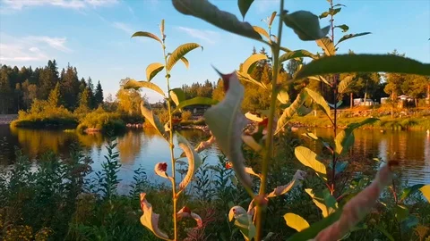 Norwegian landscapes Video stock 104323162