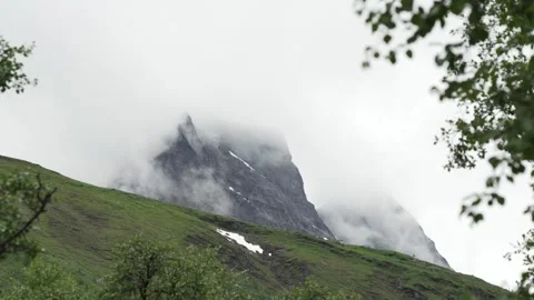 Norwegian mountain partly covered in clouds with leaves in the foreground Stock Footage 243886661
