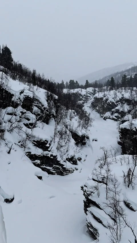 Norwegian Winter Landscape with Vertical Elements Stock Footage 335058433