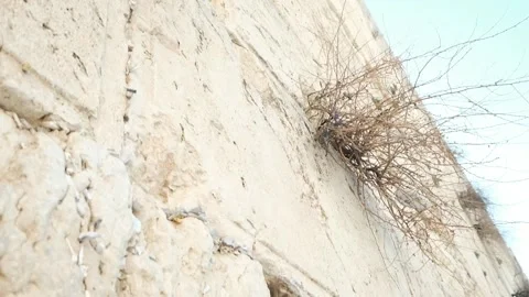 Nose bleeding prayer Stock Footage 153372224