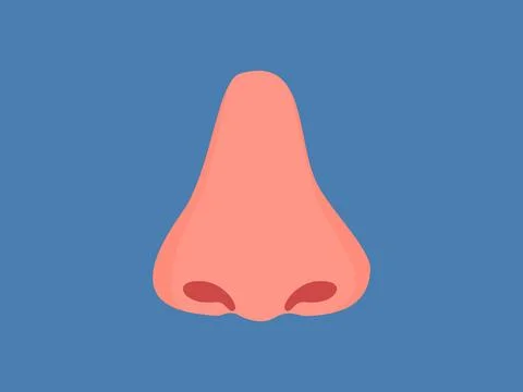 Nose, concept of smelling. vector illustration Stock Illustration