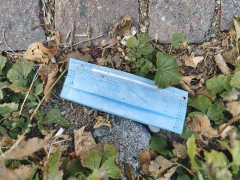 Nose face mask disposed of on the wayside. Stock Photos