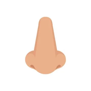 Nose icon in flat style isolated on white background. Vector. 스톡 일러스트