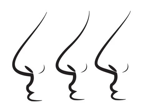 Nose Stock Illustration