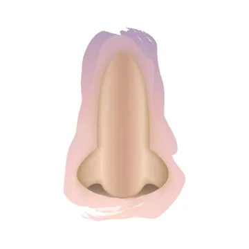Nose Stock Illustration