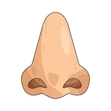 Nose illustration Stock Illustration