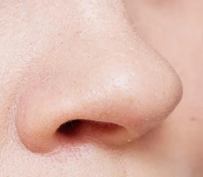 Nose Stock Photos