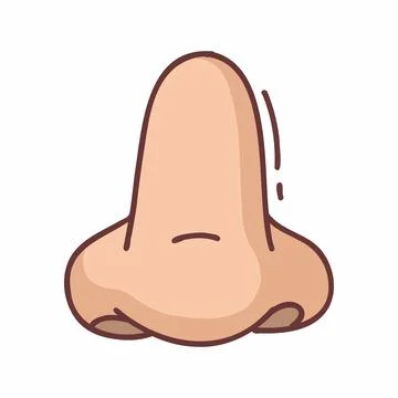 Nose vector art illustration Stock Illustration