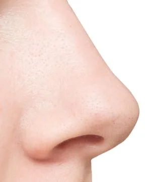 Nose on white Stock Photos