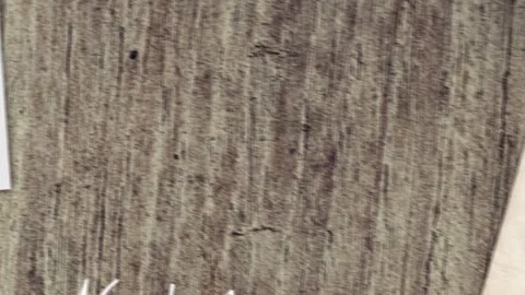 Nostalgia Animated Handwriting Stock After Effects