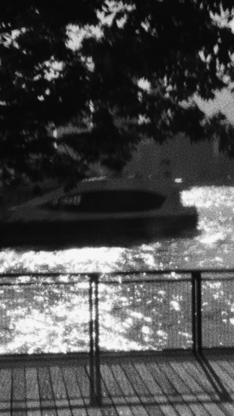 Nostalgic Black and White Ferry Stock Footage 341685475