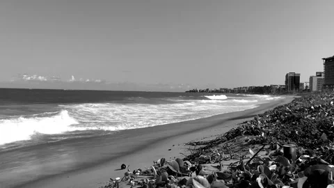 Nostalgic Black and White Ocean Waves Stock Footage 316647003